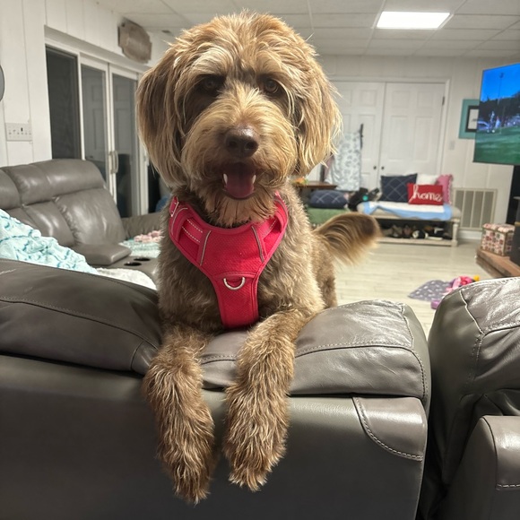 Empty Nest Posher - Bingham Boutique - Picture 9 of 10